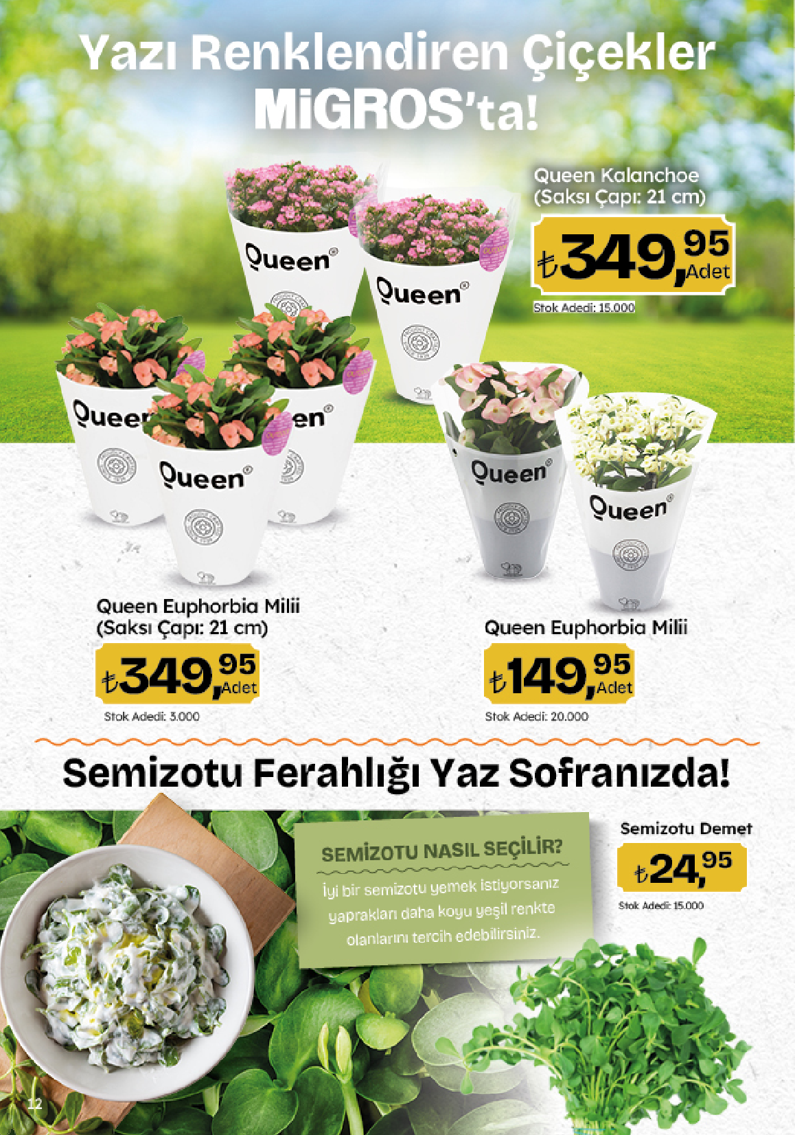 migros - Migroskop Dijital - 13